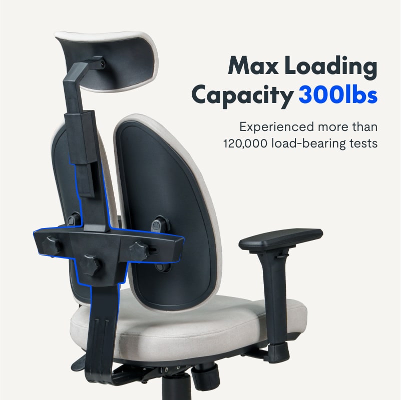 Double Backrest Ergonomic Chairs | Office Chair | Flexispot